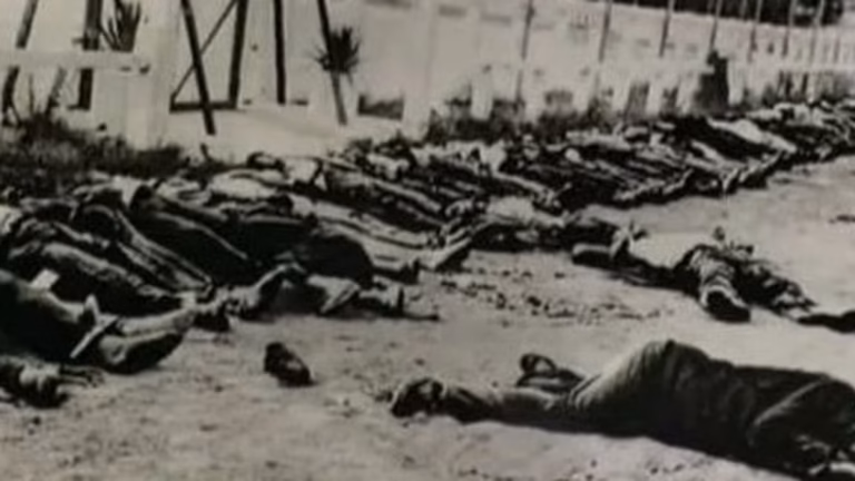 Jour de liesse en France, le 8 mai 1945 a marqué le début d'une répression violente dans une Algérie qui acceptait de moins en moins l'autorité coloniale (France 2 Culturebox (capture vidéo))